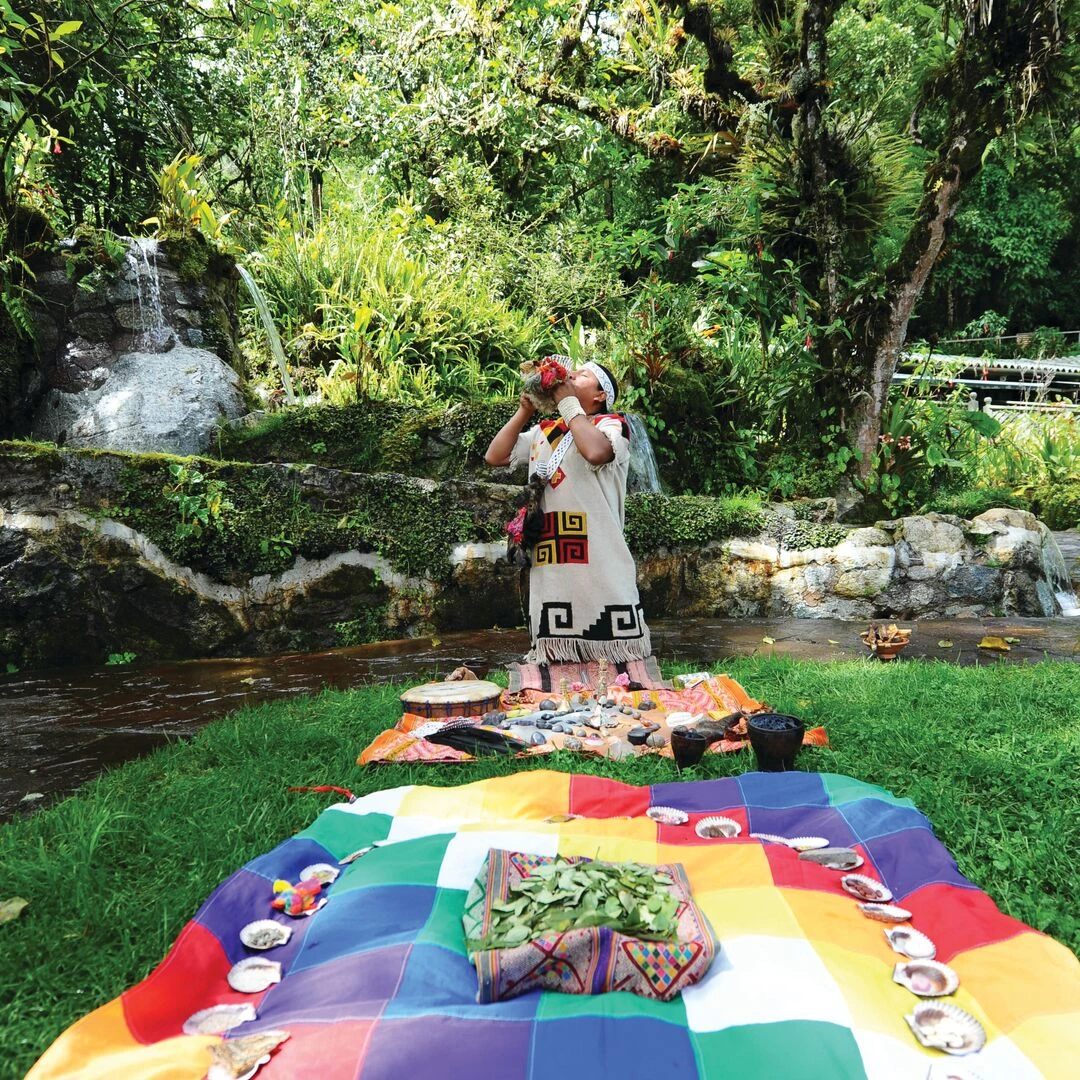 Ayahuasca in Peru – What You Should Know