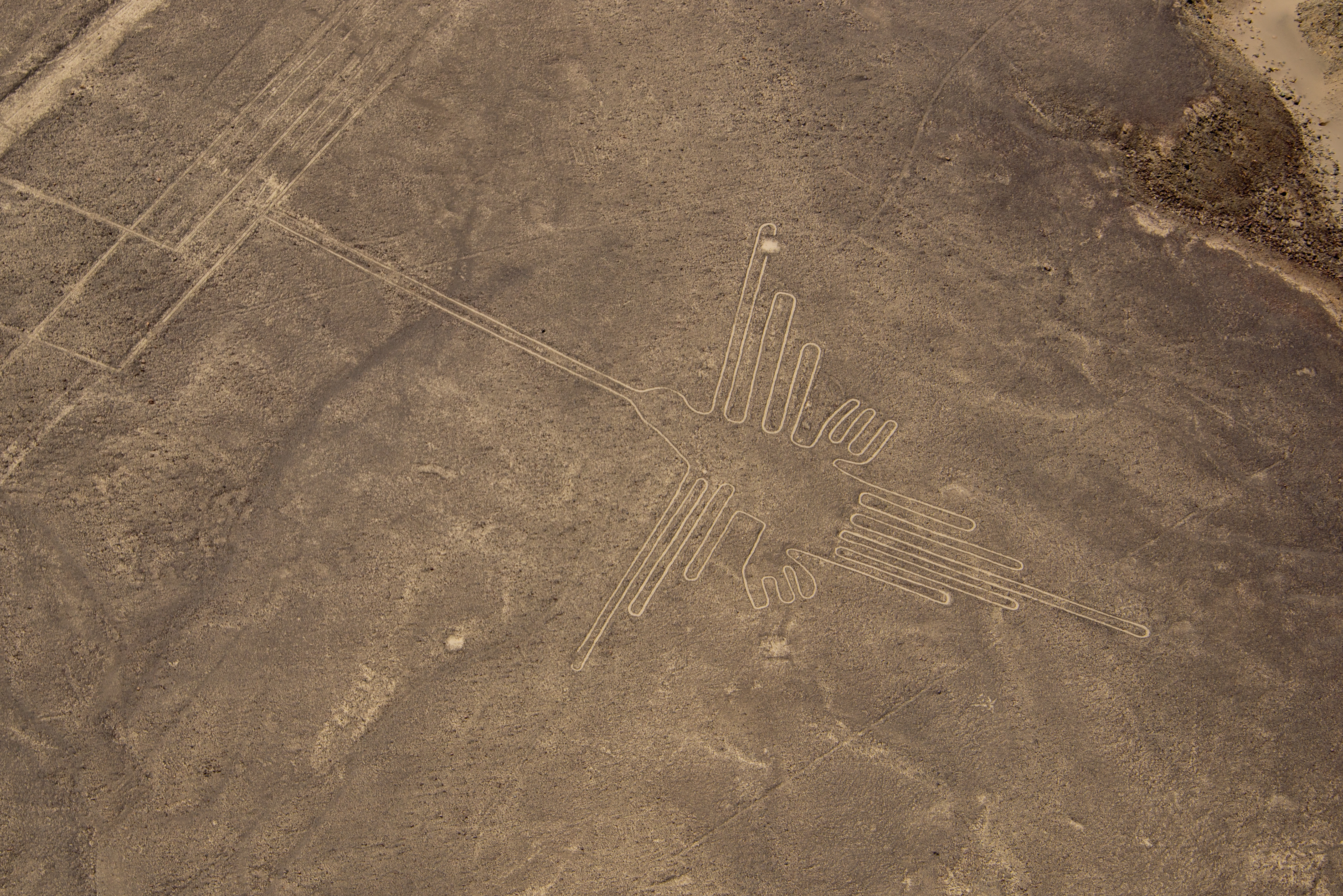 Enigmatic Nazca