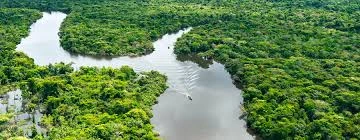 Manú National Park – Natural Heritage