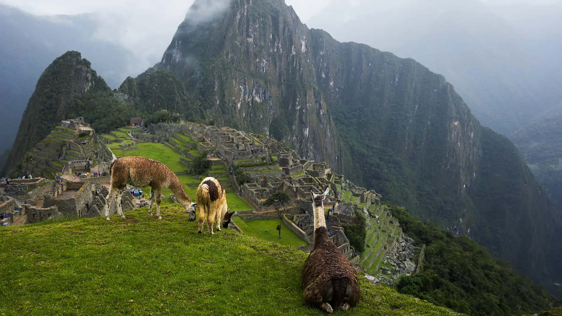 Cusco Express